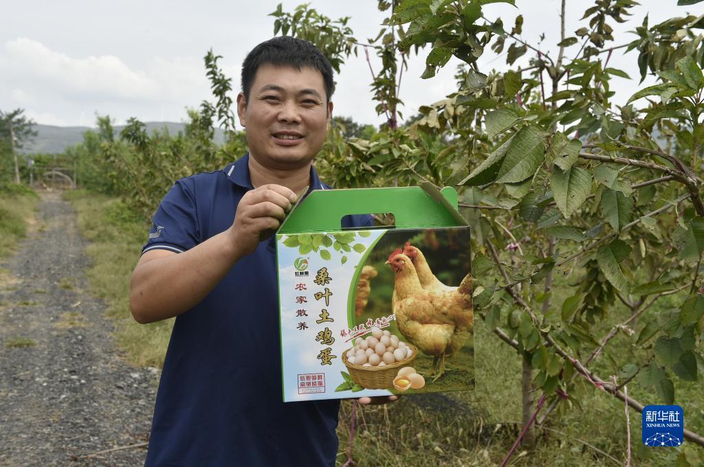 ag8游戏登陆